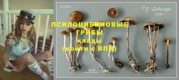 мяу мяу мука Алзамай