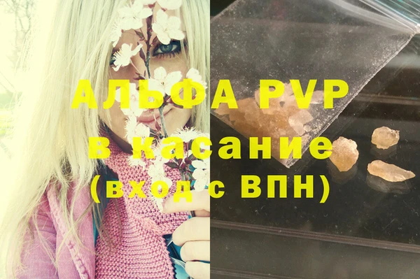 мяу мяу мука Алзамай