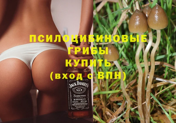 мяу мяу мука Алзамай