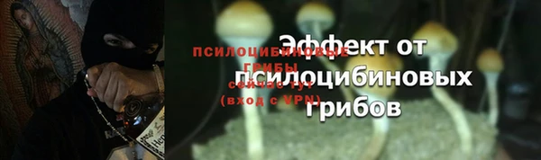 трава Пестово