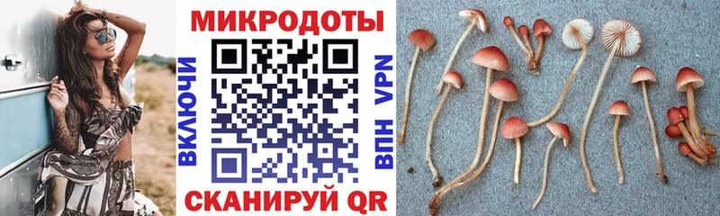 Псилоцибиновые грибы Psilocybine cubensis  Фурманов 